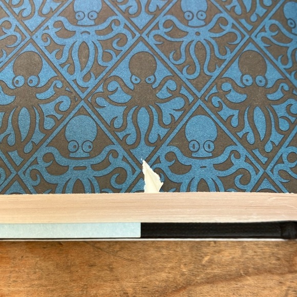 Lemony Snicket Book - Who Could That Be at This Hour? - Picture 7 of 16